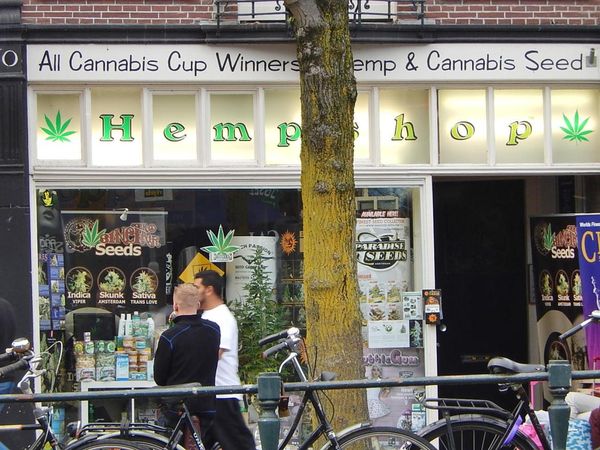 holanda3_blog_cdn.jpg