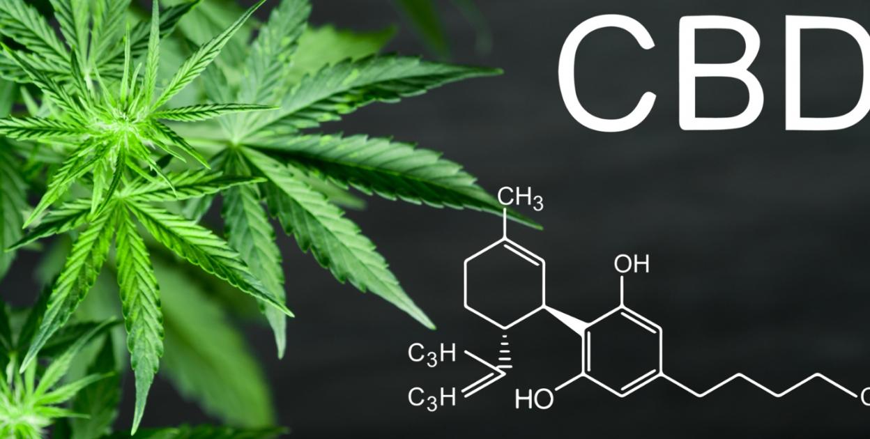 Everything You Should Know About CBD Oil.
