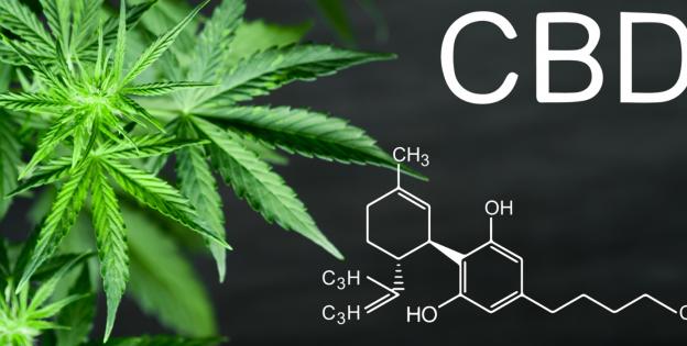 Lo que necesita saber (y lo que estamos intentando averiguar) sobre los  productos que contienen cannabis o compuestos derivados de él, incluyendo  el CDB