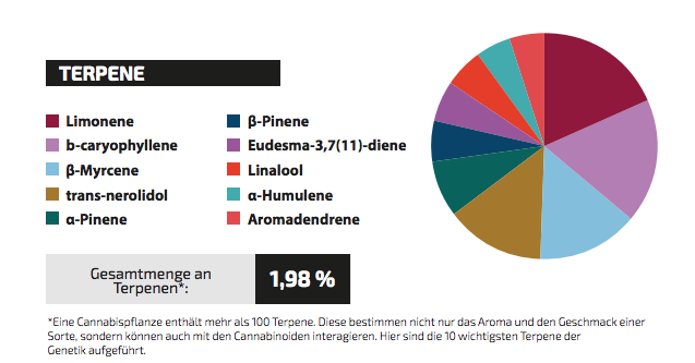 Blueberry Cookies Terpenen DE