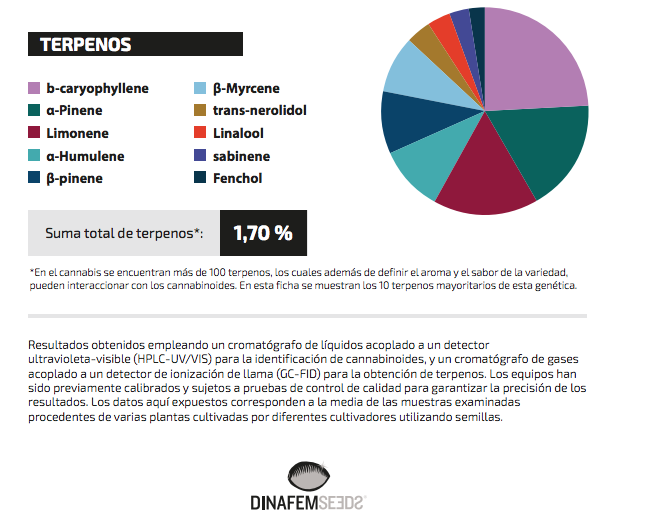 Análisis Terpenos Critical + 2.0