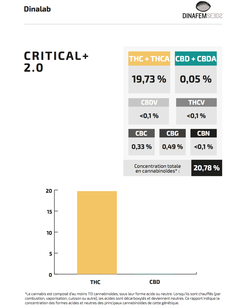 Critical + 2.0 Cannabinoides fr