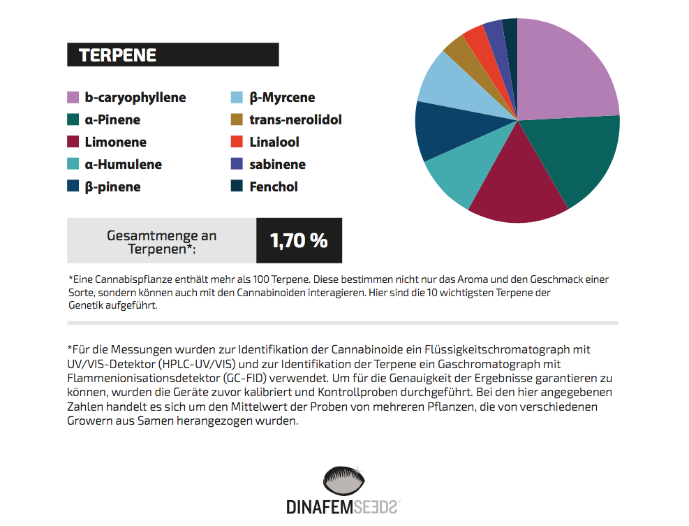 Critical + 2.0 Terpenes de