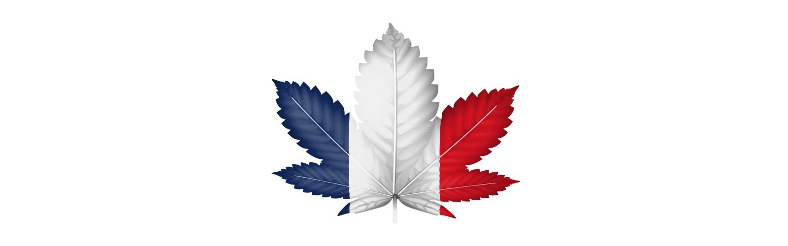 Francia Bandera Cannabis