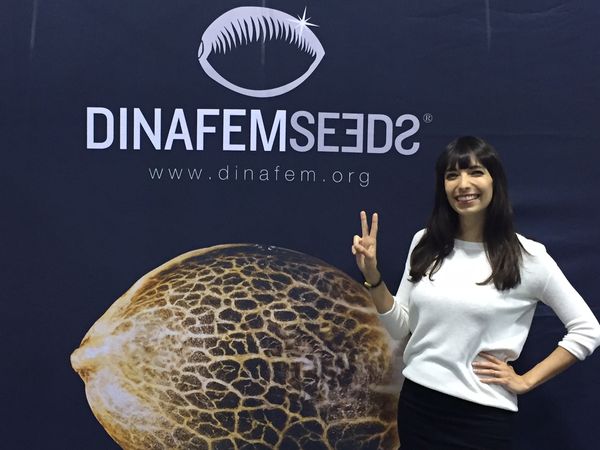 Jodie Emery Dinafem Seeds