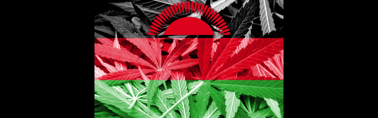 Malawi Legalización Cannabis África