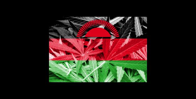 Malawi Legalización Cannabis África