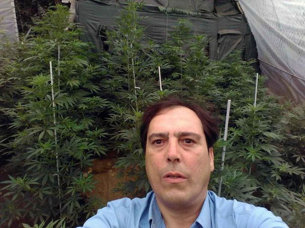 abel amor intervista cannabis