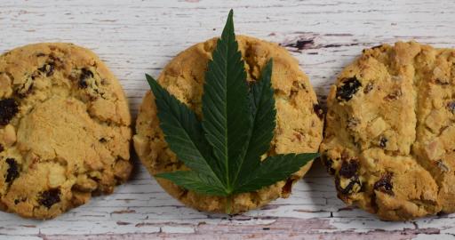 Eating Cannabis Edibles On An Empty Stomach Is It A Good Idea