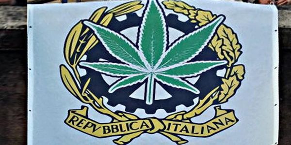 army italy marijuana legalization