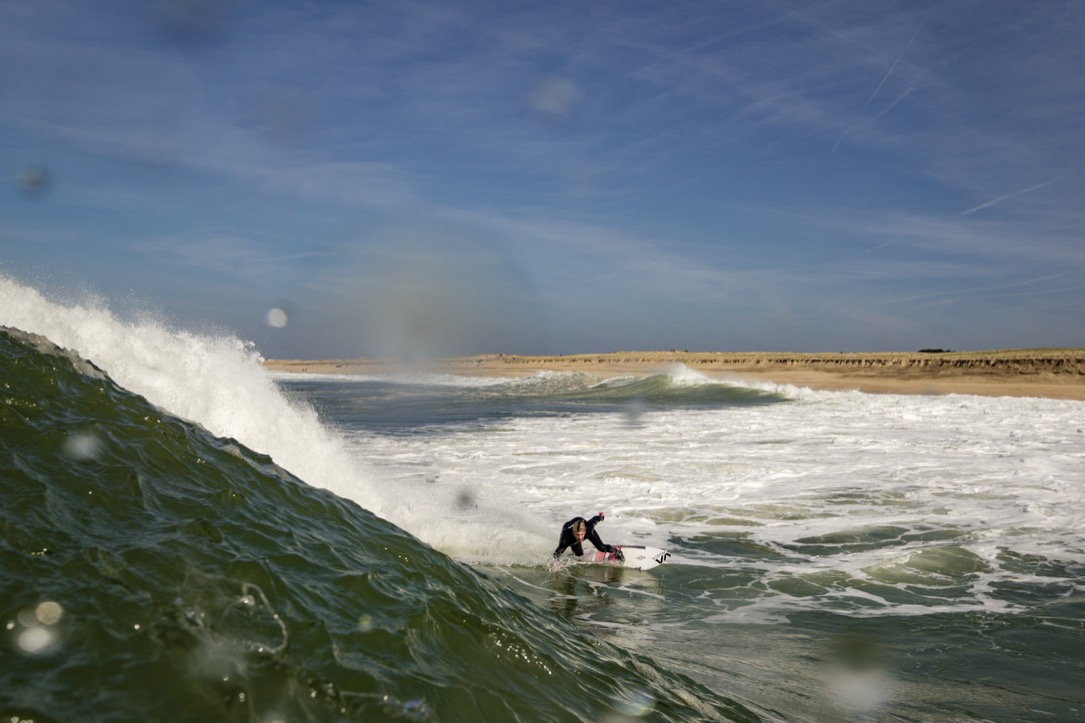 Bruce Irons Dinafem Seeds