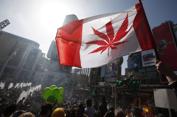 canada regolamenta cannabis