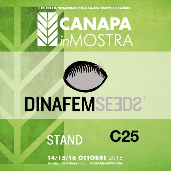 canapa mostra napoles