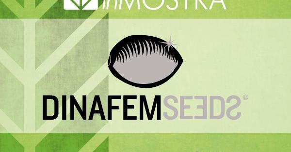 canapa mostra napoles