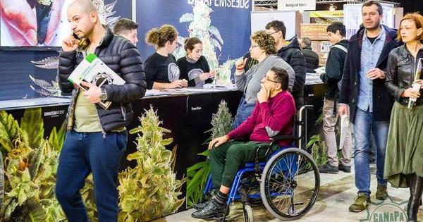 canapa mundi roma dinafem