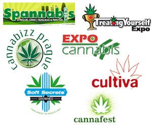 cannabis fairs dinafem 2012