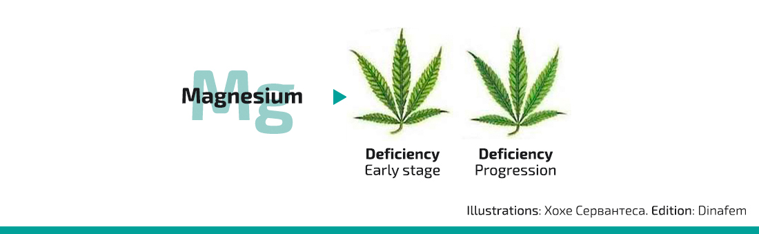 marijuana deficiency chart