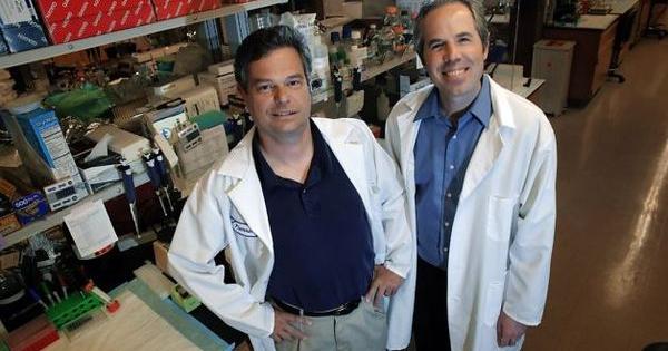 cbd potentiel anticancerigene