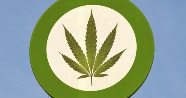 cbn cannabics breaking news