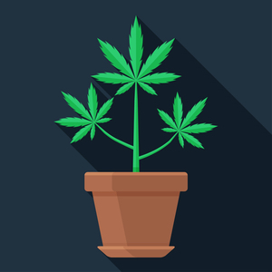 Cannabis-Mutterpflanze_logo