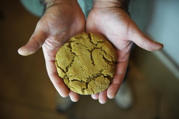 cocina marihuana principiantes