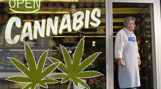 crise cannabis colorado