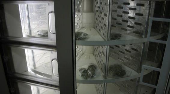 diary cannabis machine