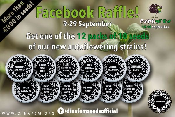 dinafem expogrow raffle