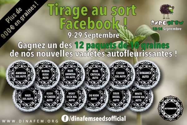dinafem expogrow tirage