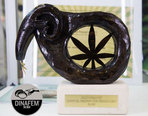 dinafem mejor banco de semillas en expogrow 2
