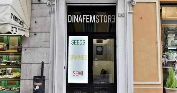 dinafem store ventimiglia