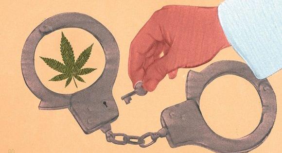 direzione nazionale antimafia fallito proibiz