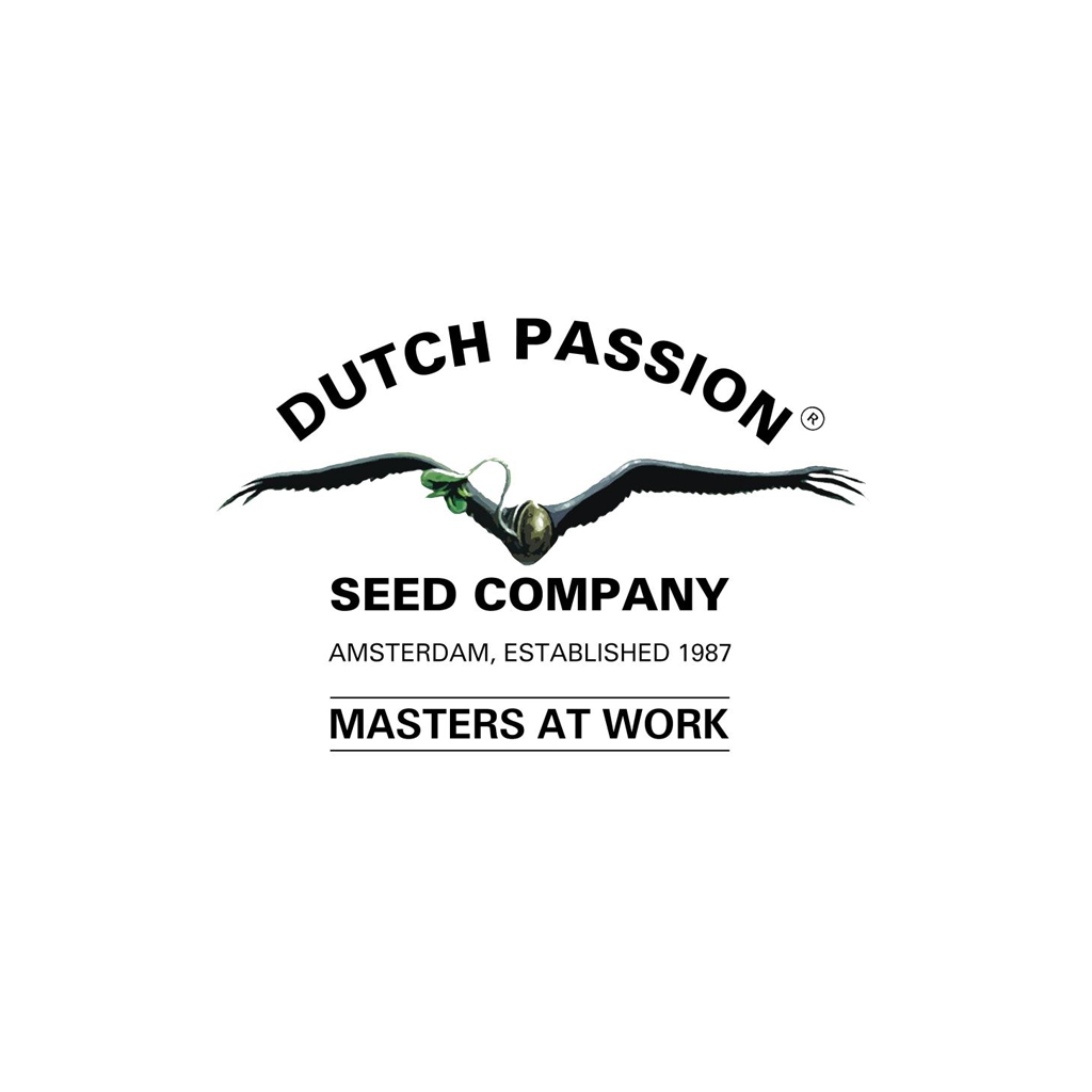 Dutch Passion