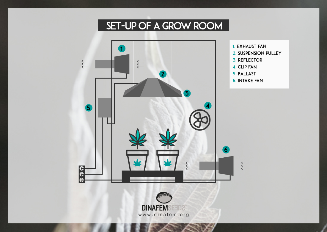 Air Circulation For Cannabis Growing