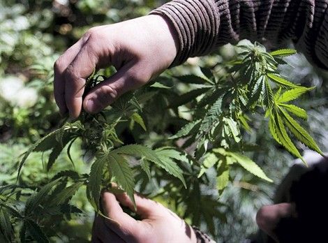 F110427103828009 90 000 apx 470 .jpg