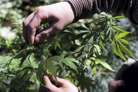 F110427103828009 90 000 apx 470 .jpg