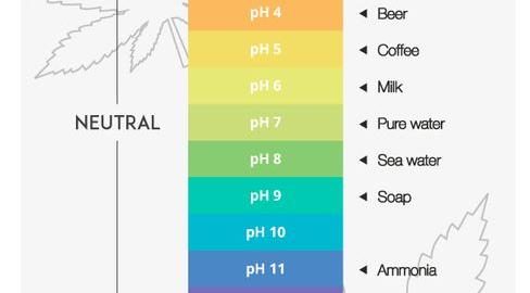 Marijuana Ph Chart