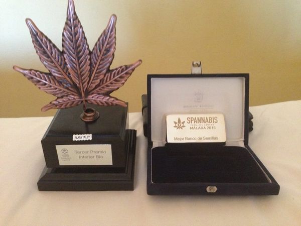 Grande successo Dinafem Spannabis Malaga 2015