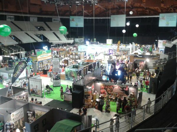 indica sativa trade virtuosismi mondo cannabi