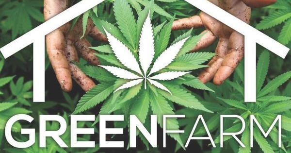 jugement greenfarm culture marijuana