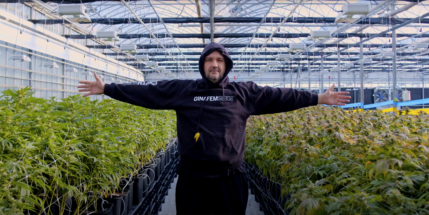 THCbd Greenhouses CBD Juri Crespan Master Grower