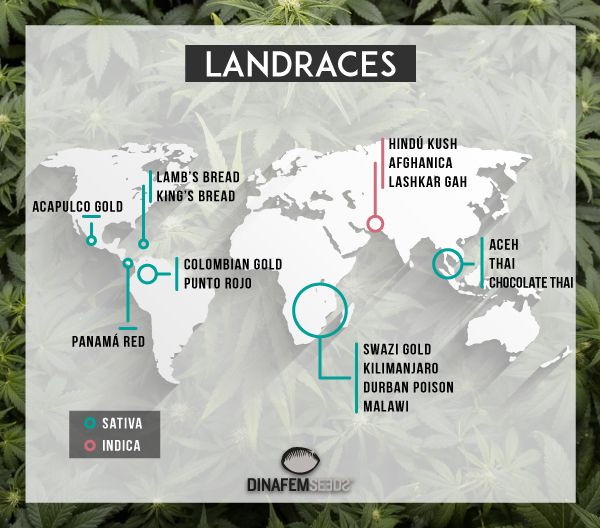 landraces-mapa_blog_cdn.jpg