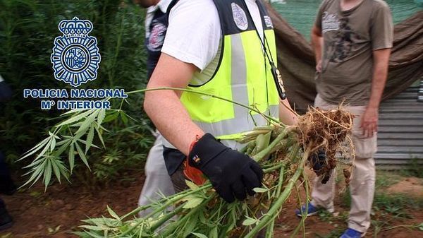 legalizzazione marijuana spagna congresso