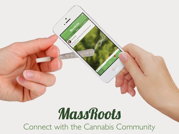 massroots instagram cannabis public