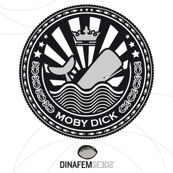 Moby Dick Dinafem Seeds