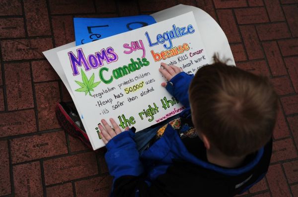 moms marijuana madres conciencia cannabis