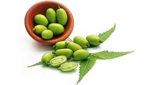 QUÉ ES EL ACEITE DE NEEM?