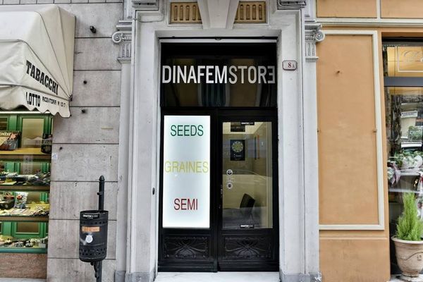 nouveau dinafem store ventimiglia