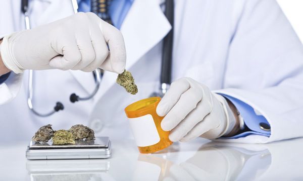 paediatricians usa safety medical marijuana