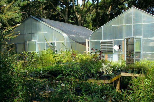 deprivation light greenhouses